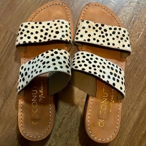 Coconuts by Matisse animal print slide sandal